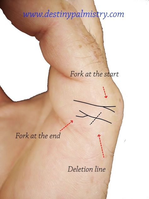 “It may be possible to see signs of divorce from the palm or the marriage lines. However, whether these signs are evident before the fact or not is another matter.” Divination Types, Palm Reading For Beginners, Palm Reading Children Lines, Palm Lines Meaning, Marriage Lines Palmistry, Palm Reading Lines, Aesthetic Craft Ideas, Palm Reading Charts, Craft Ideas For Beginners