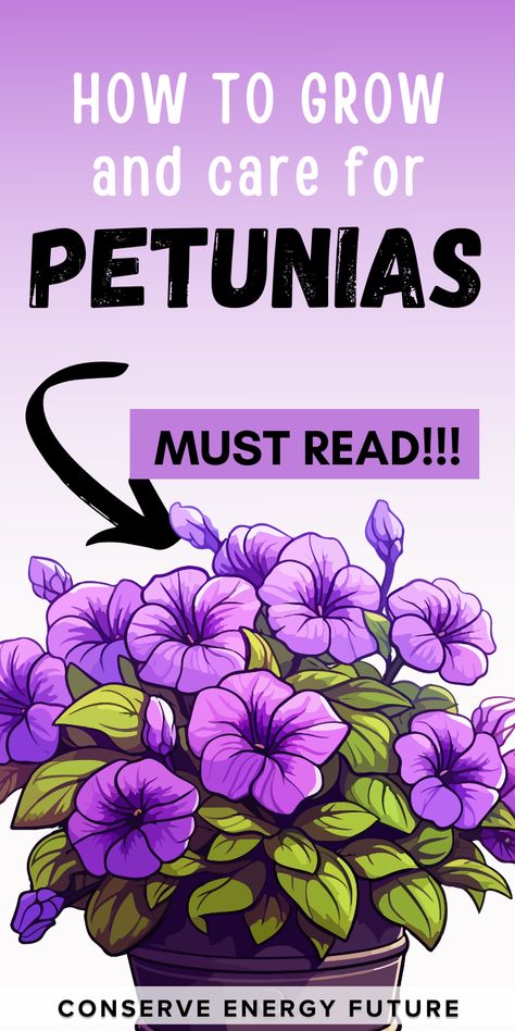 Petunia Container Ideas, Wave Petunias Planter, Petunias In Pots Planters, Petunias In Pots, Growing Petunias, Petunia Planter, Petunia Hanging Baskets, Petunia Care, Garden Baskets