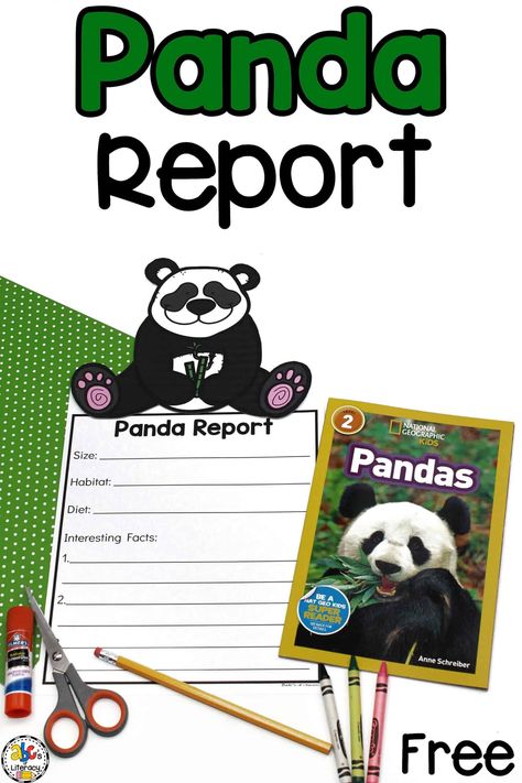 It’s National Panda Day! I love to use these holidays and special days throughout the year to create fun learning and writing activities for my kids like this Panda Report. This Panda Report is a creative way for your kids to learn how to research information and discover facts from informational text. Your kids will also practice using the information they learn about panda bears to write a report. Click on the picture to get the free Panda Report templates! #animalreport #writingactivity Panda Project, Panda Activities, Panda Habitat, Panda Facts, Panda Day, Animal Research, Nonfiction Text Features, Writing Template, Mindset Activities