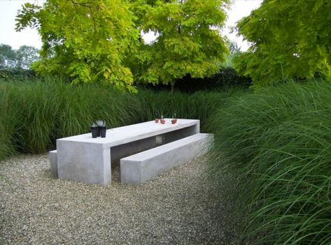 Miscanthus Sinensis Gracillimus, Concrete Bench, Concrete Furniture, Have Inspiration, Diy Garden Furniture, Garden Seating, Modern Landscaping, Small Gardens, Outdoor Rooms