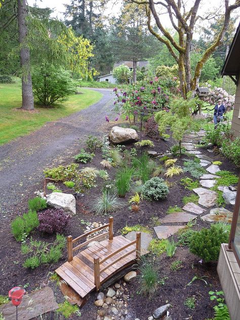 Rain Garden Ideas, Rain Garden Landscape, Woodland Landscaping, Gaia's Garden, Reflexology Path, Garden Water Features, Rain Garden Design, Garden Bridges, Residential Garden