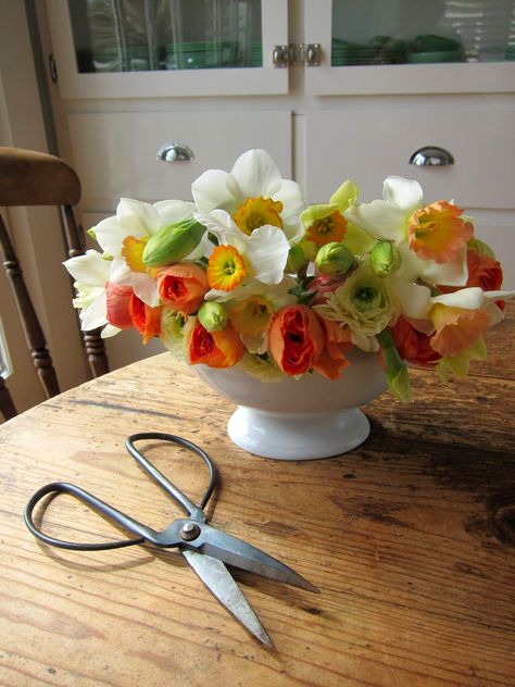 Daffodil arrangement in ironstone compote Arrangement Ideas, Ranunculus, My Kitchen, Daffodils, Spring Flowers, Flowers Bouquet, Bouquets, Flower Arrangements, Image Search