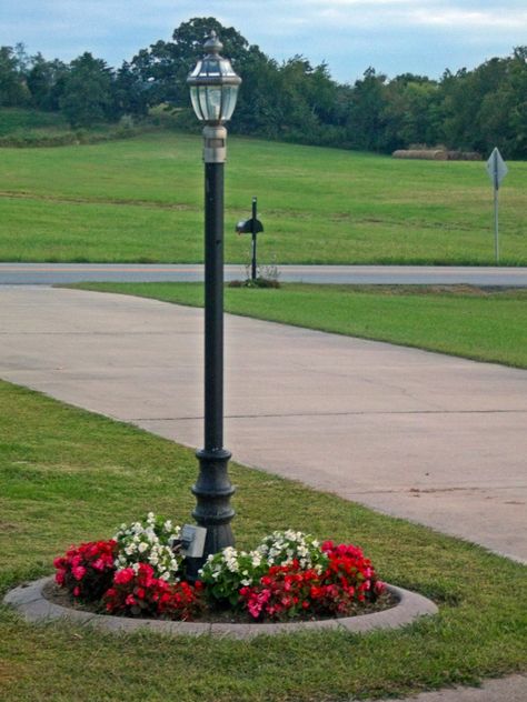 The Lamp Post  photo by Joy Fussell Light Post Landscaping, Front Yard Lighting, Budget Landscaping, Gardens Backyard, Driveway Lighting, Outdoor Lamp Posts, Light Post, Lamp Posts, Lamp Post Lights