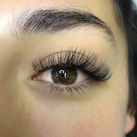 Hybrid Lash Extensions | C-Curl | Handmade Fans | Marlene | Bronzed Humanity #lashes #hybridlashes Hybrid Lash Extensions, Eyelash Extensions Classic, Extensions Eyelash, Lash Tips, Lashes Fake Eyelashes, Extension Training, Professional Eyelash Extensions, Lash Extensions Styles, Eyelash Extensions Styles