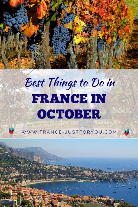 The text across the middle of the pin says "Best things to do in France in October". The top image is of purple grapes on a vine with red and yellow leaves in the fall. The bottom image is a panoramic photo of Nice in the south of France Nice France October, France In Autumn, France Itinerary 10 Days, France In October, Things To Do In France, Travel In France, Paris In October, Toulon France, October Travel