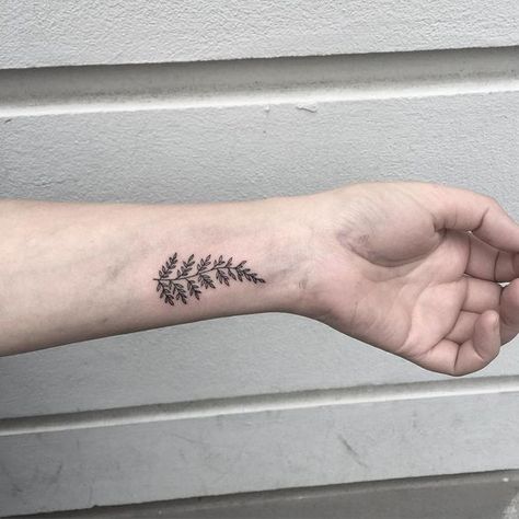 Ferns. Fern Leaf Tattoo, Flor Tattoo, New Zealand Tattoo, Fern Tattoo, Leaf Tattoo, Tattoo Spots, Maori Tattoos, Polynesian Tattoos, Marquesan Tattoos