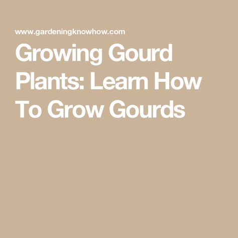 Growing Gourd Plants: Learn How To Grow Gourds How To Grow, Gourds, The Garden, To Grow, You Can Do, Seeds, Plants