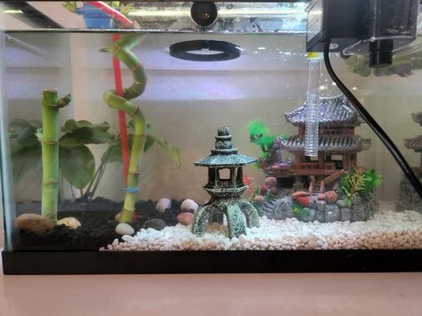 Themed Fish Tank, Bamboo Aquarium, White Aquarium, Fish Tank Ideas, China Temple, White Rocks, Fish Tank Design, Pet Ideas, Lucky Bamboo