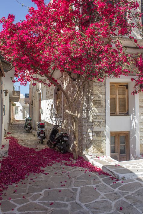 Friends Naxos Island, Nothing But Flowers, Pretty Landscapes, Travel List, City Aesthetic, Beautiful Places To Travel, Nature Aesthetic, Pretty Places, Dream Destinations