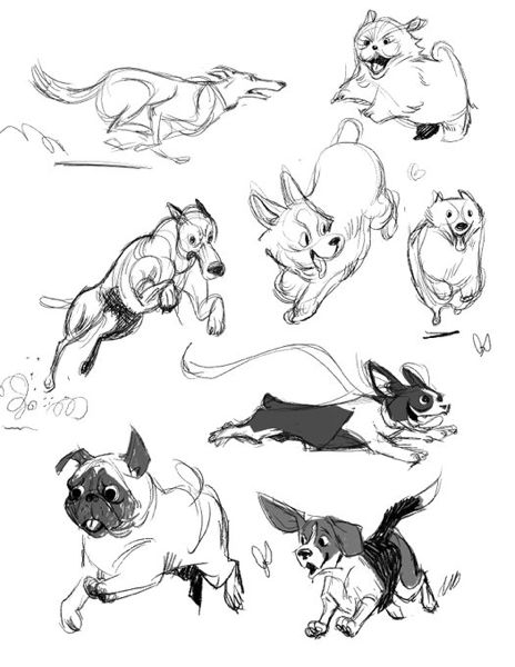 How To Draw A Dog Running, Cartoon Dog Reference, Running Animal Drawing, Dog Jumping Reference, Dogs Running Drawing, Flying Dog Drawing, Dogs Running Illustration, Standing Dog Illustration, Dog Comic Drawing