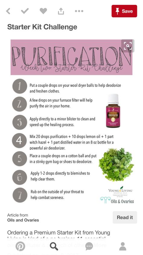 Purification Essential Oil Recipe, Purification Diffuser Blend, Purification Essential Oil Young Living, Purification Oil, Purification Essential Oil, Essential Oil Roller Bottle Recipes, Living Oils Recipes, Essential Oil Usage, Essential Oils Collection