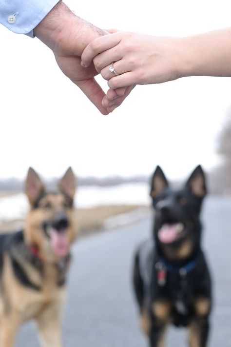 Couple Photoshoot With Dog, Dog Wedding Photos, Photoshoot With Dog, Engagement Photo Shoot Beach, Diy Photoshoot, Engagement Announcements, Engagement Shoots Poses, Engagement Announcement Photos, Fall Engagement Pictures