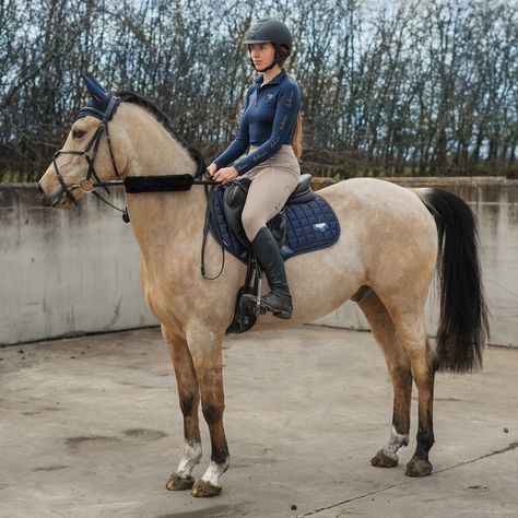 hansequine English Horse Riding, Pony Tack, Hunter Horse, Horsey Life, Horse Riding Outfit, Show Jumping Horses, Equestrian Aesthetic, Horse Camp, English Horse