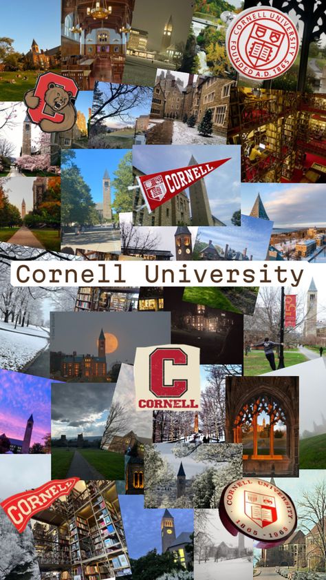 Cornell College, Spiritual Vision Board, University Inspiration, Ivy League Colleges, Life After High School, Law School Inspiration, Goal Board, College Aesthetic, Dream College