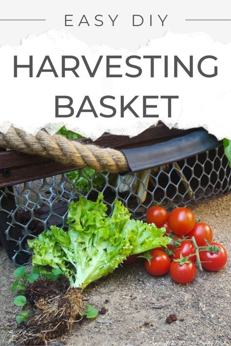 Diy Harvest Basket, Harvesting Basket, Recycle Craft Projects, Harvest Basket, Display Basket, Garden Basket, Basket Making, Market Basket, Upcycling Ideas