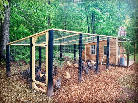 Sweet Water Organic Farm -Custom Created Chicken House & Run Amherst, Virginia Chicken Enclosure, Reban Ayam, Walk In Chicken Coop, Cute Chicken Coops, Chicken Coop Garden, Backyard Chicken Coop Plans, Diy Chicken Coop Plans, Chicken Coop Run, Backyard Chicken Farming