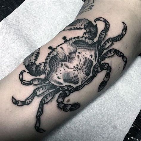 80 Crab Tattoo Designs For Men - Masculine Ink Ideas Crab Tattoo Ideas, Tattoo Sea, Crab Tattoo, Compass Tattoo Design, Octopus Tattoo, Tatuaje A Color, Piercing Tattoo, Sea Ocean, Animal Tattoos