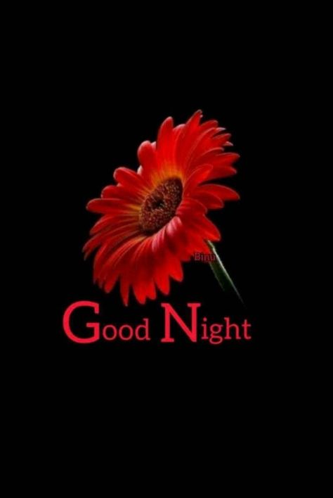 Good Night In Tamil, Good Night Friends Images, Cabbage Seeds, Good Morning Msg, Evening Pictures, Quotes In Tamil, Good Night Beautiful, Night Beautiful, I Love You Gif