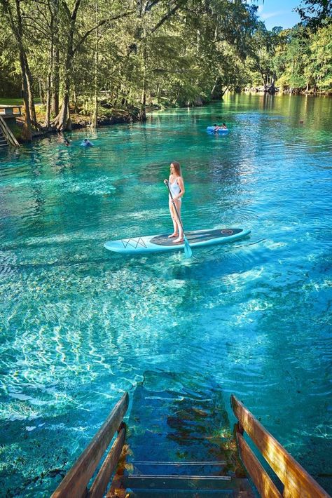 Tips For Ginnie Springs: A Perfect Florida Oasis - Florida Trippers Ginnie Springs, Jacksonville Beach Florida, Florida Vacation Spots, Ocala National Forest, Florida Travel Destinations, Florida Adventures, Florida Springs, Places In Florida, Jacksonville Beach