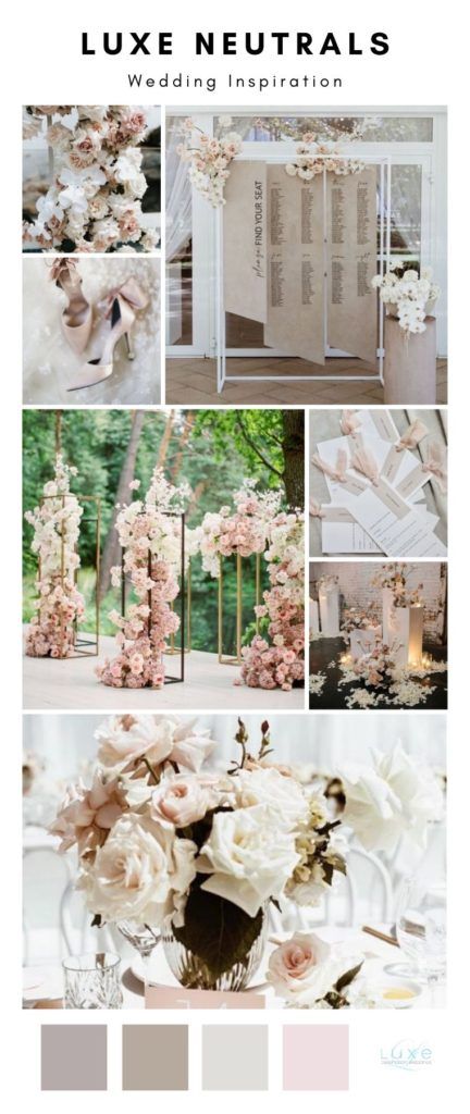 Blush And Champagne Wedding Colors, Dusty Pink Wedding Flowers, Wedding Palate, Design Vision Board, Pink Champagne Wedding, Champagne Wedding Themes, Champagne Color Palette, Wedding Cermony, Neutral Wedding Inspiration