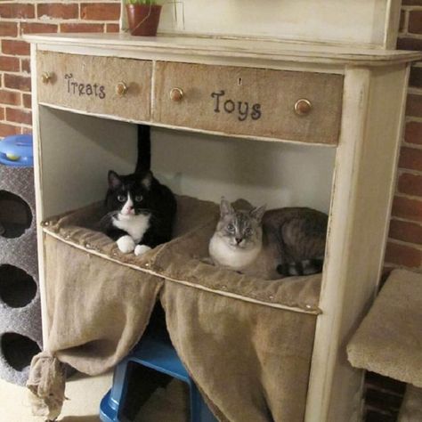 11 Awesome DIY Cat Furniture Ideas | The Family Handyman Cat Furniture Ideas, Diy Cat Furniture, Pallet Deck Diy, Katt Diy, Pet Bed Furniture, Cat Furniture Design, Kat Diy, Chat Diy, Diy Bird Bath