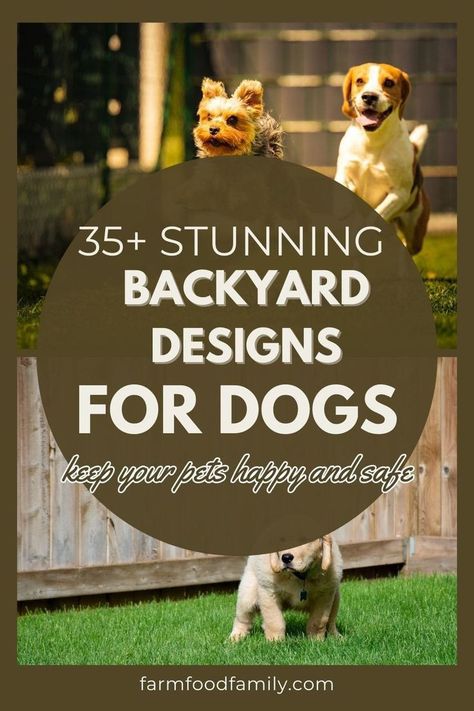 Dog Retreat Backyard, Outdoor Dog Park Ideas, Dog Friendly Sloped Backyard, Dog Safe Backyard Landscaping, At Home Dog Park, Zero Scape Landscaping Backyard For Dogs, Dog Backyard Ideas Landscaping, Backyard Ideas With Dogs, Dog Proof Backyard Landscaping