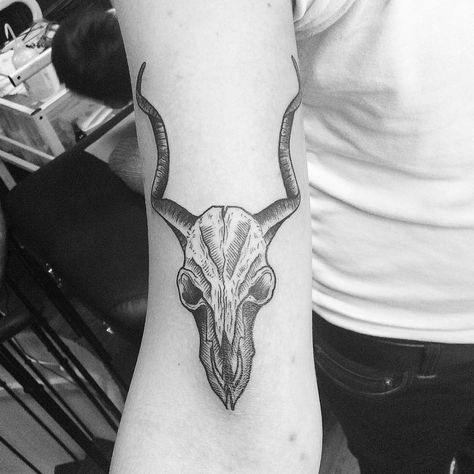 Engraving style antelope skull tattoo on the right bicep. Antelope Skull Tattoo, Antelope Skull, Montreal Tattoo, Woodcut Tattoo, Neo Tattoo, Engraving Tattoo, L Tattoo, Bicep Tattoo, Horror Tattoo