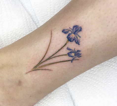 Blue Iris Tattoo, Iris Flower Tattoo, Iris Tattoo, Most Famous Paintings, Blue Iris, Calf Tattoo, Flowers Petals, Iris Flowers, The South Of France