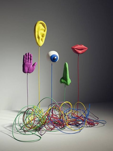 pinterest- the five senses | The five senses by Kyle Bean. Gcse Art, Conceptual Art, Art Plastique, Installation Art, Art Lessons, Art Direction, Sculpture Art, Art For Kids, Street Art