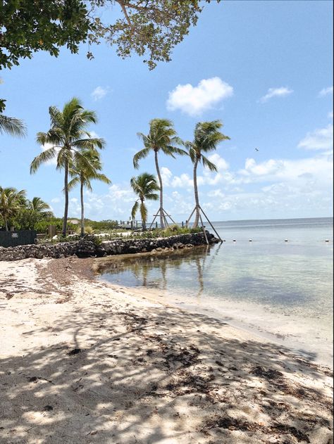 Islamorada, Florida #florida #floridakeys #islamorada #beach #sand #aesthetic #ocean Beach Sand Aesthetic, Sand Aesthetic, Islamorada Florida, Beach Romance, 2024 Board, Aesthetic Ocean, Florida Keys, Beach Sand, Romance Books