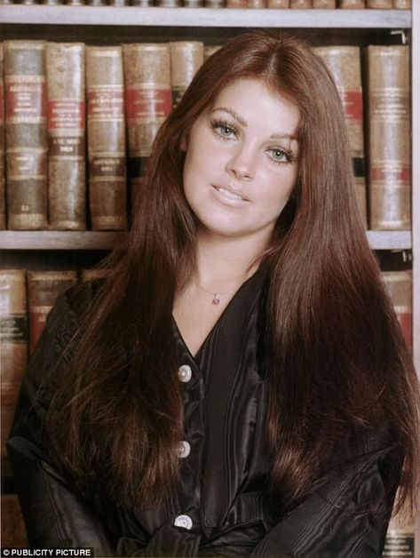 Priscilla Presley Hair, Young Priscilla Presley, Estilo Zendaya, Elvis Presley Priscilla, Elvis And Me, Joseph Jackson, Elvis And Priscilla, King Of Pop, Priscilla Presley