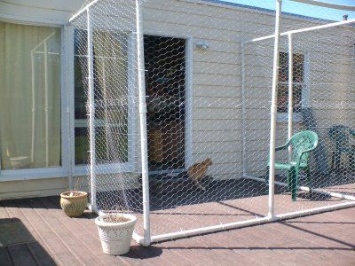 Could maybe do this while renting? Would still need roof screened in. PVC cat run AFFORDABLE:) #cats #catio #CatRun Diy Cat Enclosure, Outdoor Enclosure, Cat Fence, Cat Patio, Outdoor Cat Enclosure, Cat Run, Pet Enclosure, Outdoor Cat House, Screen House