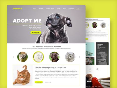 Pet Websites, Pet Advertising, Banner Design Inspiration, Coach Website, Adoption Stories, Web Design Tips, Web Inspiration, Website Banner, Web Layout Design