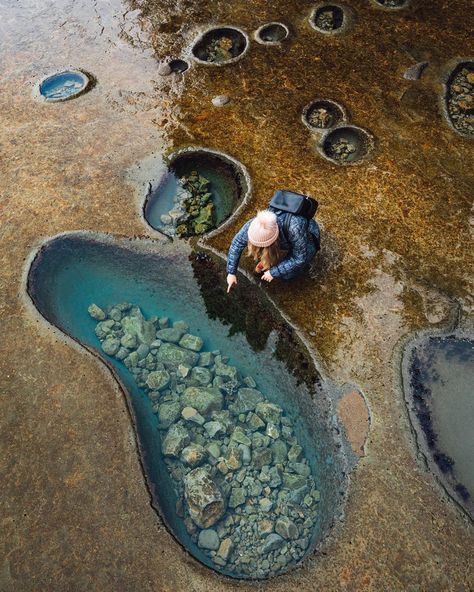 Botanical Beach, Vancouver Island, Canada 🇨🇦 Tidal Pool, Photography Kit, Wallpaper Tumblr, Explore Canada, Philippines Travel, Tide Pools, Destination Voyage, Vancouver Island, Rock Climbing