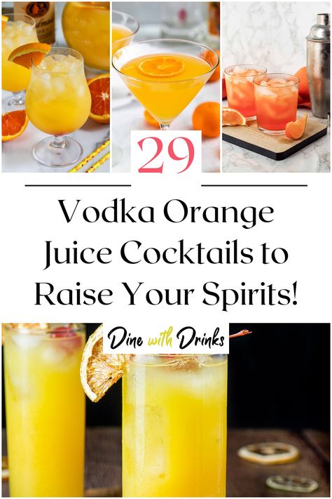 Collage of 4 vodka orange juice cocktails. Drinks With Oj Cocktail Recipes, Orange Vodka Recipes, Orange Juice Alcoholic Drinks, Drinks With Orange Vodka, Alcohol Drinks With Orange Juice, Orange Vodka Cocktails, Orange Liquor Drinks Cocktails, Vodka And Orange Juice Recipes, Orange Alcoholic Drinks