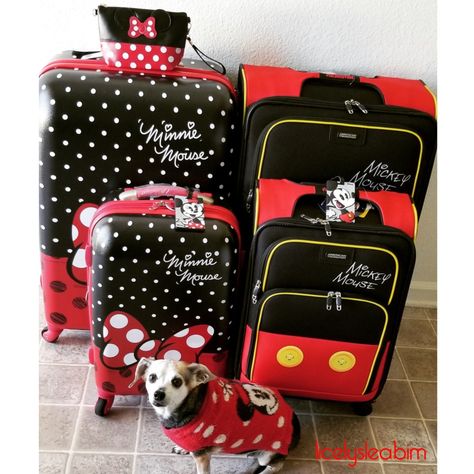 My dog Daizy matching with our luggage😍🐶🐁 @licelysleabim @Disney Mickey Theme, Cute Luggage, Mickey Y Minnie, Awesome Bedrooms, Disney World Trip, Back To The Future, Disney Pictures, Disney World, Disney