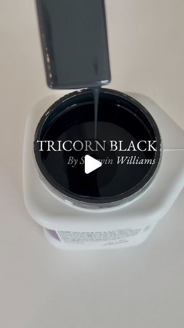 Tara Nelson on Instagram: "What’s my favorite black paint as an interior designer? 

Tricorn Black by Sherwin Williams 🖤

The perfect color to make a statement! I use it EVERWHERE! Try it - I promise you will love it!🖤

Great for walls, trim, mouldings, doors, cabinets and exterior

1. Photo via Studio-McGee.com
2. Photo via Allisajacobs.com
3. Photo via homebunch.com
4. Photo via thehouseofsilverlinings.com
5. Photo via Nikisplate.com 
6. Photo via homebunch.com

And don’t forget to like, share, and save for inspo! 

#tricornblack #sherwinwilliams #sherwinwilliamspaint #paint #wallpaint #interiorpaint #exteriorpaint #blackpaint #home #design #homedesign #homedesigninspo #homeinspo #interiors #interiordesign #interiordesigner" Sherwin Williams Black Paint Colors, Tricorn Black Sherwin Williams, Tricorn Black, Studio Mcgee, I Promise You, Sherwin Williams, Interior Paint, Wall Paint, Black Paint