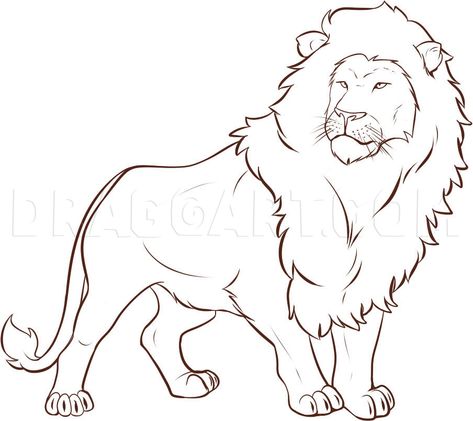 How To Draw A Lion, Step by Step, Drawing Guide, by Dawn | dragoart.com Lion Drawing Simple, Draw A Lion, Lion Face Drawing, Animal Tutorial, Lion Sketch, Easy Animal Drawings, Tiger Drawing, Lion Drawing, Nature Art Drawings