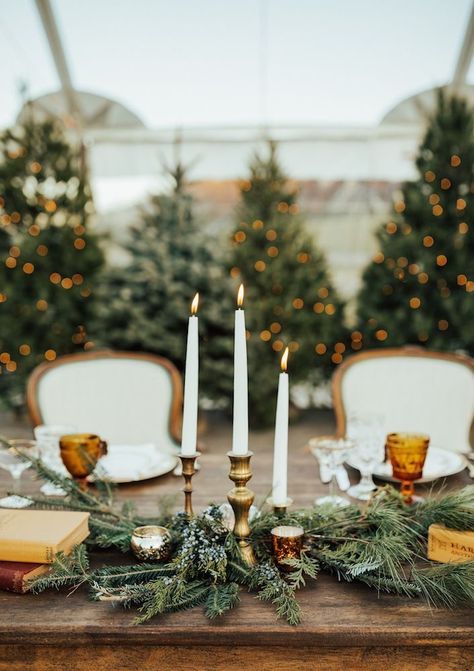 Simple Christmas Wedding Decorations, Winter Wedding Vintage, Pine Tree Wedding Backdrop, Christmas Tree Centerpieces For Table Wedding, Pine Greenery Wedding, Christmas Tree Centerpieces Wedding, Minimalist Christmas Wedding, Christmas Tree Wedding Decorations, Winter Pine Wedding