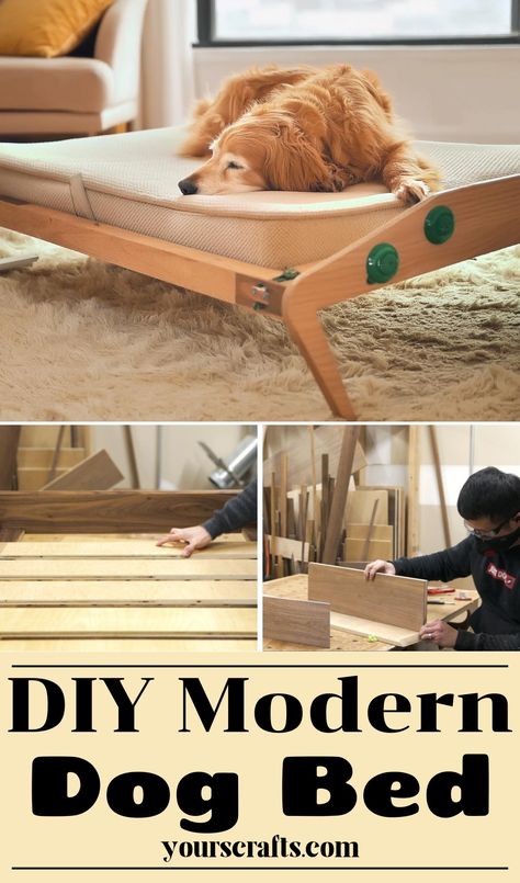 DIY Modern Dog Bed Project Made Of Oak And Walnut Mcm Dog Bed, Diy Dog Couch, Elevated Dog Bowls Diy, Diy Raised Dog Bed, Dog Bowls Diy, Diy Elevated Dog Bed, Modern Dog Bed, Bed Project, Dog Couch Bed