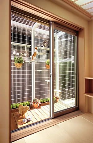 Sunroom Ideas For Cats, Cat Friendly Balcony, Cat Porch, Cats Room, Cat Friendly House, Outdoor Veranda, Indoor Cat House, Japanese Website, Katt Diy