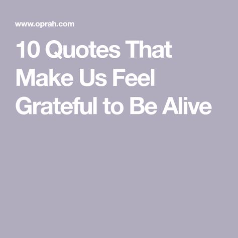 10 Quotes That Make Us Feel Grateful to Be Alive Grateful To Be Alive, Alive Quotes, Happy Motivation, Anne Lamott, Inspiring Words, Nobel Peace Prize, 10th Quotes, Aging Well, Family Relationships