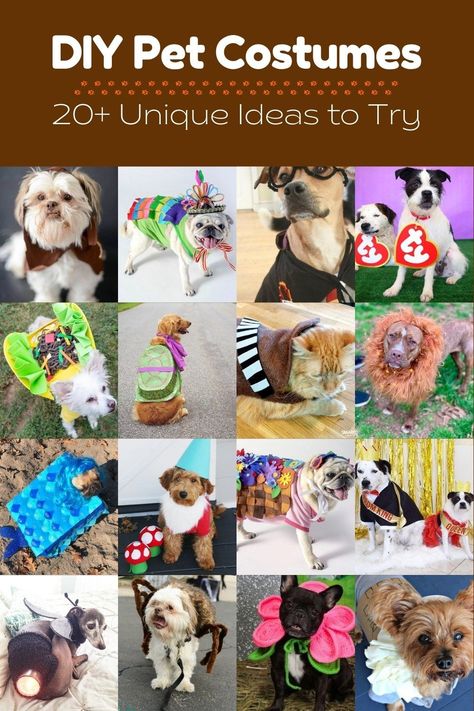 Diy Costume For Cats Pets, Last Minute Dog Costume Diy, Simple Dog Costumes Diy, Free Dog Costume Patterns, Home Made Dog Costumes, Dog Costume Sewing Pattern, Easy Diy Pet Costumes, Easy Homemade Dog Costumes, Diy Pet Halloween Costumes