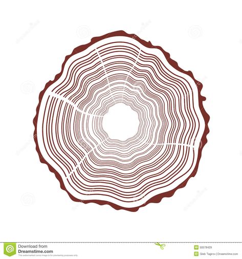 Tree Rings Background Stock Vector - Image: 50578429 Growth Background, Rings Background, Brown Tree, Watercolor Tree, Tree Rings, Tree Trunks, Work Inspiration, Graphic Design Posters, Design Working