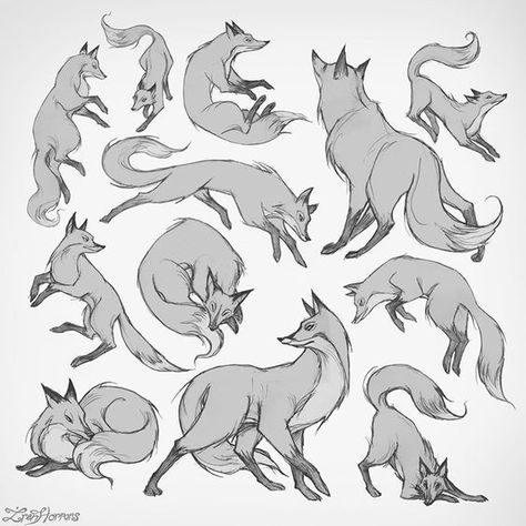 Fox Drawing Sketches, Fox Sketch, What Does The Fox Say, Art Fox, Fox Drawing, Výtvarné Reference, Animal Study, Gambar Figur, Fox Art