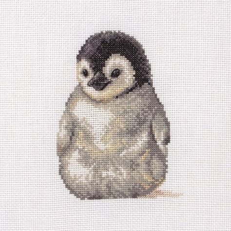 Penguin Cross Stitch, Anchor Cross Stitch, Anchor Cross, Blackwork Embroidery Patterns, Animal Cross Stitch Patterns, Cross Stitch Love, Cross Stitch Bird, Cross Stitch Baby, Cute Cross Stitch