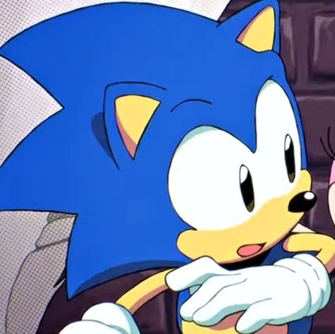 Sonic Matching Pfp, Pfp Sonic, Sonic Pfp, Sonic Shadow, Shadow And Amy, Art Fan, Shadow The Hedgehog, The Hedgehog, Matching Pfp