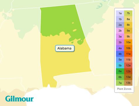 Gardening In Alabama, Growing Zones Map, Alabama Gardening, Alabama Garden, Planting Zones Map, Professor Sprout, Garden Zones, Planting Zones, Growing Calendar