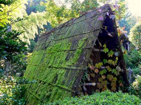 Moss and creepers on a roof Treehouse Tattoo, Faerie Furniture, Moss Roof, Frame Cabins, Environment Reference, A Frame Cabins, Rock House, Frame Cabin, Thatched Roof