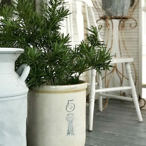 Crock Planter Ideas, Vintage Crocks Decorating With, Decorating With Vintage Crocks, Decorating With Old Crocks, Crocks Decor Ideas, Crocks Decor, Crock Ideas, Vintage Rolling Pins, Old Crock